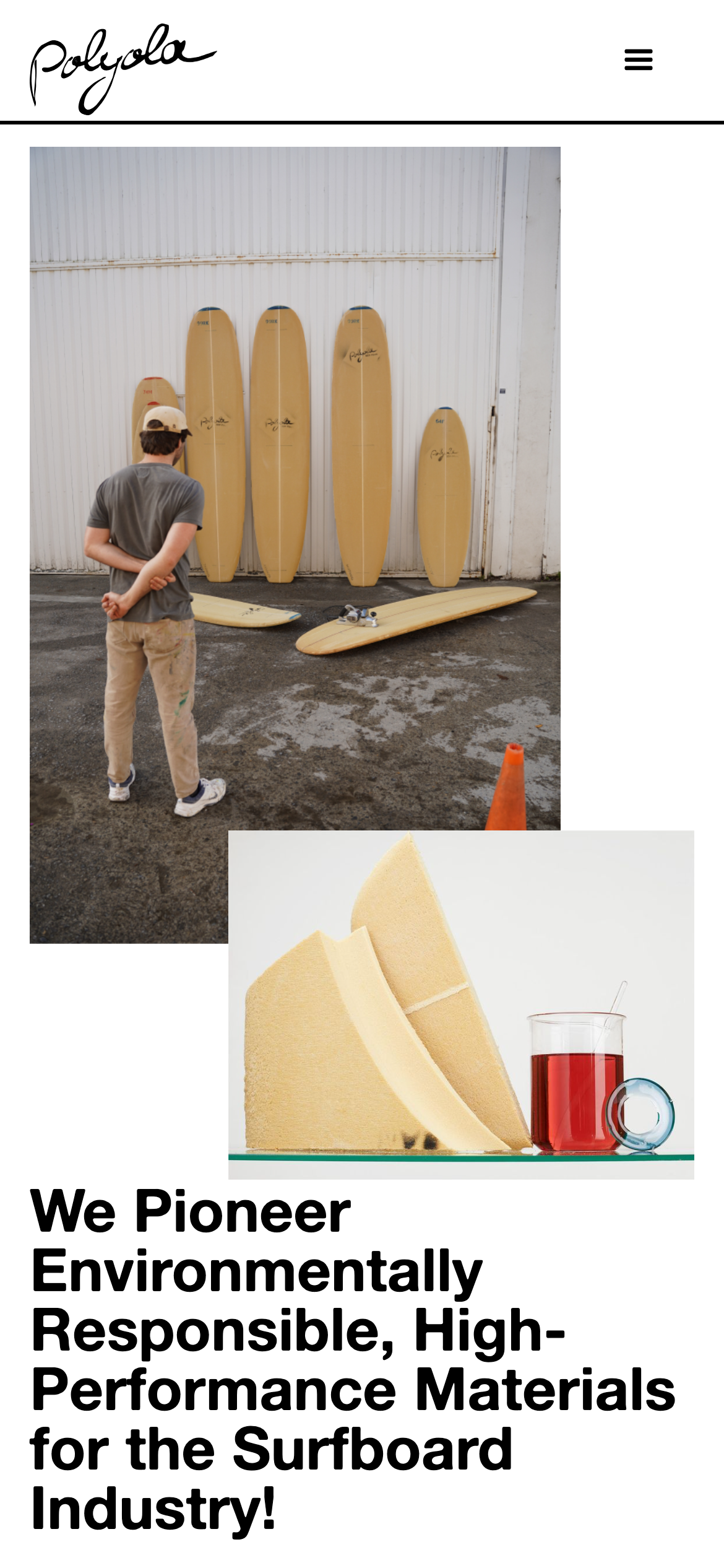 6703fa82f8e9a8a77d1b0c78 polyola.webflow.io (iPhone 12 Pro)